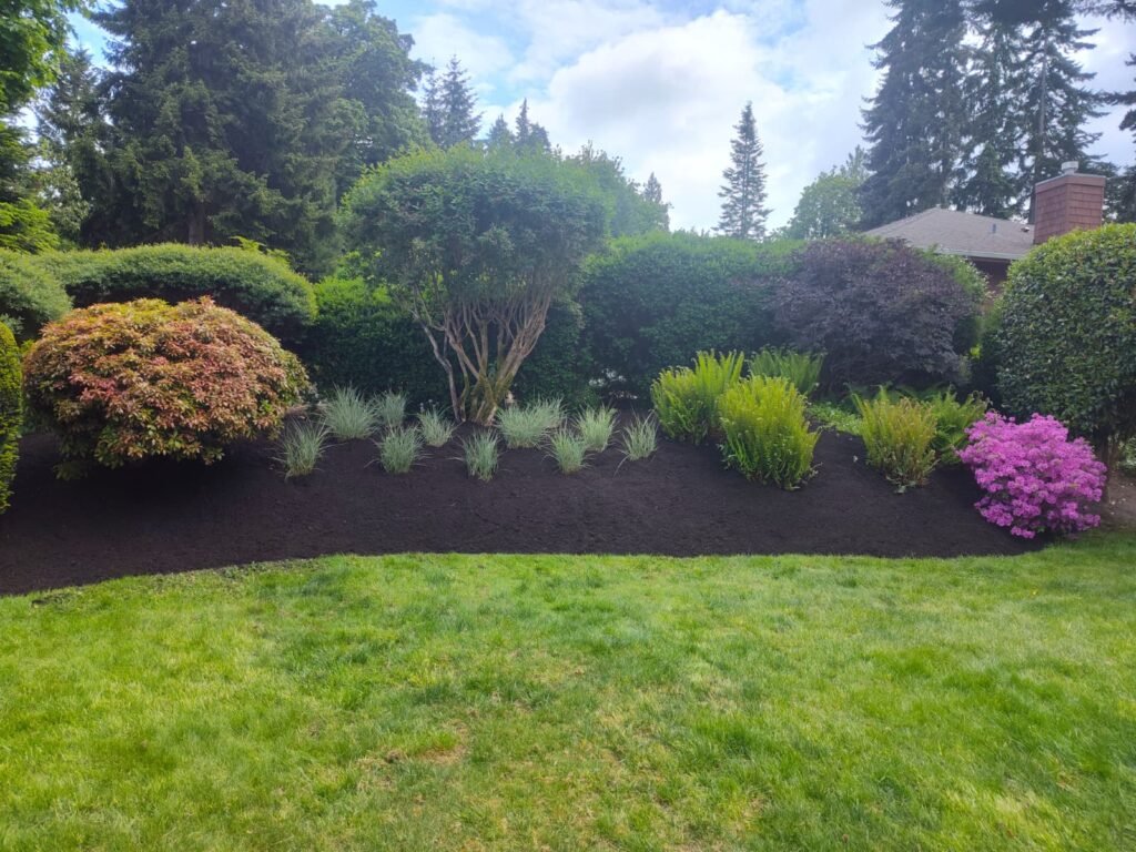 VLL Landscaping 2025 (11)