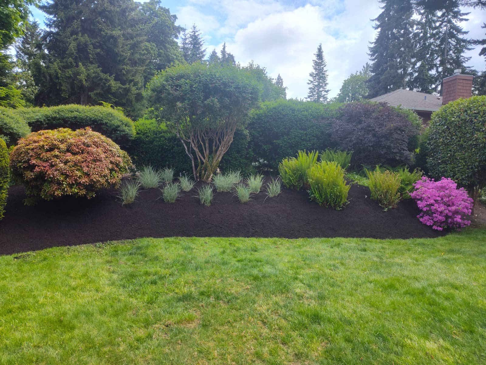 VLL Landscaping 2025 (11)