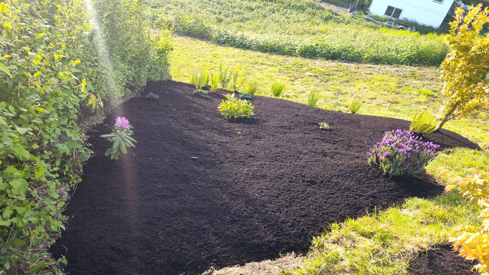 VLL Landscaping 2025 (15)