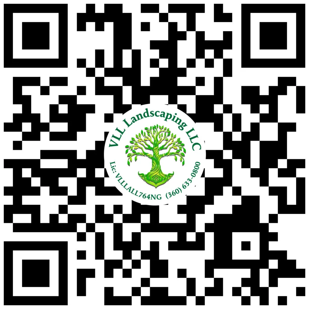 qr Mesa de trabajo 1 1024x1024 (1)