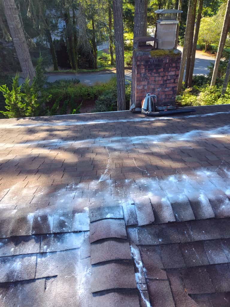 Professional landscaping work in Bremerton